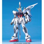 1/100 ソードストライクガンダム(中古品)