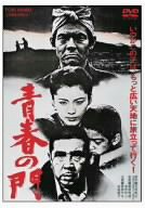 青春の門 [DVD](中古品)