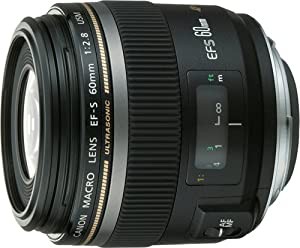 Canon 単焦点マクロレンズ EF-S60mm F2.8マクロ USM APS-C対応(中古品)