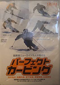 パーフェクトカービング [DVD](中古品)