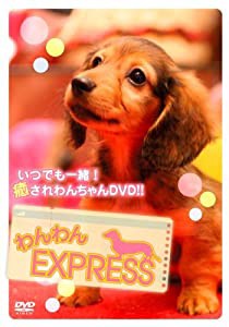 わんわんEXPRESS [DVD](中古品)