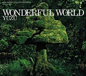 WONDERFUL WORLD(中古品)