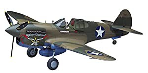 ハセガワ 1/32 アメリカ陸軍 P-40E ウォーホーク プラモデル ST29(中古品)