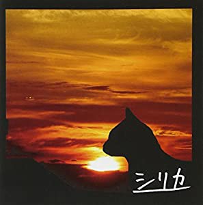 猫(中古品)