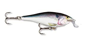 Rapala(ラパラ) シャッド シャロー シャッドラップ 7cm 7g シャッド SD SSR7-SD ルアー(中古品)