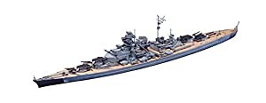青島文化教材社 1/700 ウォーターラインシリーズ ドイツ海軍 戦艦 ビスマルク プラモデル 618(中古品)