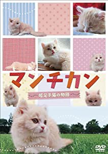 マンチカン 〜短足子猫の物語〜 [DVD](中古品)
