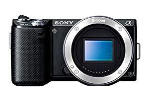 ソニー SONY デジタル一眼カメラ α NEX-5N ボディ ブラック NEX-5N/B(中古品)