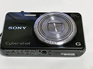 ソニー SONY デジタルカメラ Cyber-shot DSC-WX170 1820万画素CMOS 光学10倍 ブラック DSC-WX170/B(中古品)