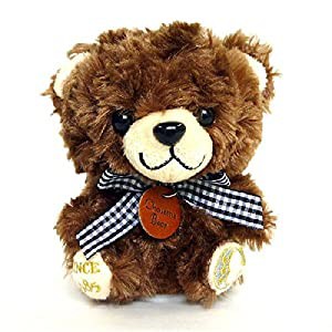 ChouttieBear マネしておしゃべりぬいぐるみ クマのチョコ(中古品)