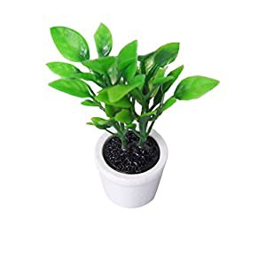 ドールハウス用 白いポット　緑色植物 飾り 1/12　DIY(中古品)