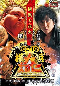 PROWRESTLING ZERO1~2012横浜大花火~ [DVD](中古品)