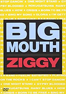 BIG MOUTH [DVD](中古品)