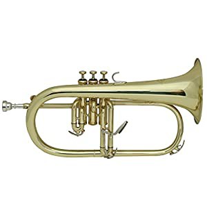 MAXTONE フリューゲルホルン B♭管 ゴールドラッカー仕上げ FH-50L セミハードケース付(中古品)