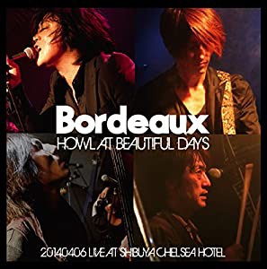 HOWL AT BEAUTIFUL DAYS-20140406 LIVE AT SHIBUYA CHELSEA HOTEL-(中古品)