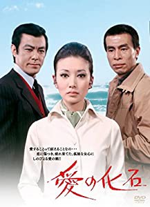 愛の化石 [DVD](中古品)