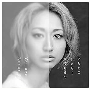 あなたに会えなくなる日まで/You are Beautiful(初回限定盤)(DVD付)(中古品)