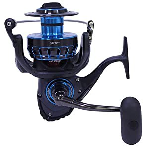 Daiwa Saltist 5.3：ギアスピニング・リール１個。(中古品)