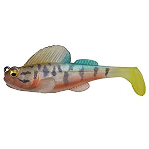 メガバス(Megabass) ワーム ダークスリーパー 3.8インチ 1oz ビワコヨシノボリ 37326(中古品)