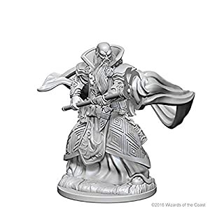 Dungeons & Dragons: Nolzur's Marvelous Unpainted Minis: Human Male Wizard(中古品)