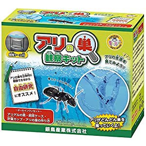 銀鳥産業 ギンポー まなびっこ アリ伝説 アリの巣観察キット MA-AKD(中古品)