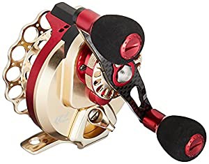 ダイワ(DAIWA) イカダリール 18 BJ 筏 70 (2018モデル)(中古品)