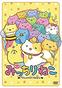 アニメみっちりねこ [DVD](中古品)