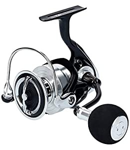 ダイワ(DAIWA) スピニングリール 19 レグザ LT5000D-CXH (2019モデル)(中古品)