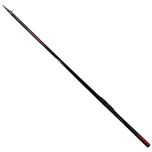 ダイワ(DAIWA) チヌ・磯竿 銀狼・Y 0-53・Y 釣り竿(中古品)