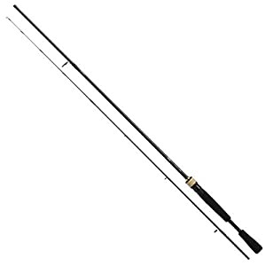 ダイワ(DAIWA) バスロッド バスX・Y 642L/MLS-ST・Y 釣り竿(中古品)