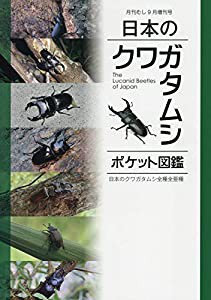 日本のクワガタムシ全種類 2019年 09 月号 [雑誌]: 月刊むし 増刊(中古品)