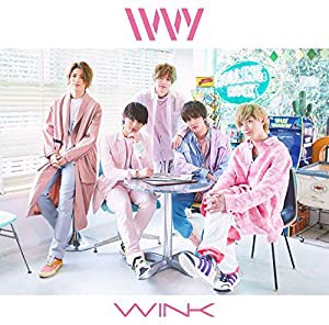 WINK(中古品)