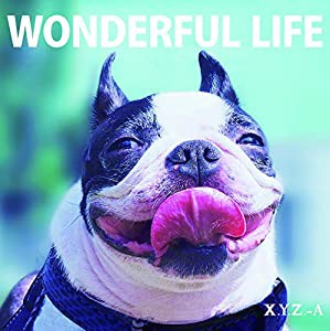 WONDERFUL LIFE(通常盤)(中古品)