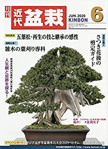 月刊近代盆栽 2020年 06 月号 [雑誌](中古品)