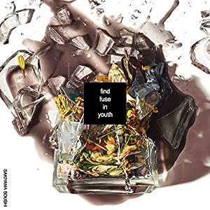 find fuse in youth (初回生産限定盤) (DVD付) (特典なし)(中古品)