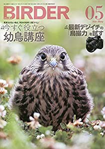 BIRDER(バーダー)2021年5月号 今すぐ役立つ幼鳥講座/最新デジイチの「鳥撮力」を試す(中古品)