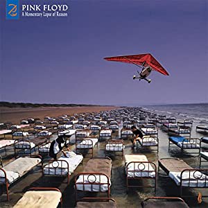 A Momentary Lapse of Reason (Remixed & Updated 2019)(中古品)