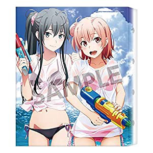 やはり俺の青春ラブコメはまちがっている。完 キャンバスアート 雪乃&結衣 水着2019ver.(中古品)