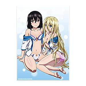 ストライク・ザ・ブラッドFINAL ビジュアルアクリルプレート 姫柊雪菜&アヴローラ・フロレスティーナ(中古品)