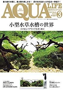 月刊アクアライフ 2022年 03 月号 小型水草水槽の世界(中古品)