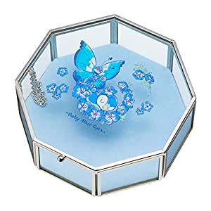 ポケモンセンターオリジナル アクセサリーケース Baby Blue Eyes(中古品)