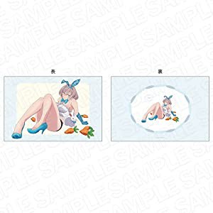 SSSS.DYNAZENON 特大クッション ムジナ rabbit ver.(中古品)