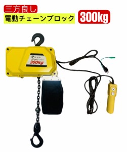 三方良し　電動チェーブロック300kg  揚程4m　電動ホイスト1速型　電気チェーンブロック 電動ホイスト 電動チェーンブロック　エアーホイ