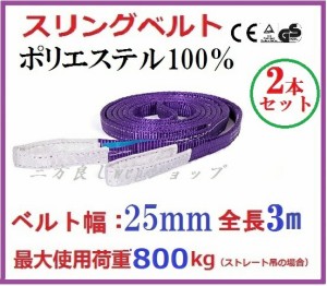 スリングベルト　ベルト幅25mm 全長3m/2pcsセット/耐久性に優れているポリエステル強力原糸100%  ナイロンスリング ベルトスリング 繊維