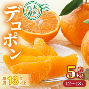 デコポン 熊本県産 約5kg 12〜18玉 糖度13度以上 等級優以上 デコポン でこぽん みかん 蜜柑 旬の果物 甘い 国産 熊本