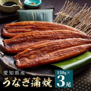 お中元 ギフト 2024 愛知県産 うなぎ蒲焼 約150g×3尾入 鰻 うなぎ ウナギ 国産 愛知 蒲焼 3尾