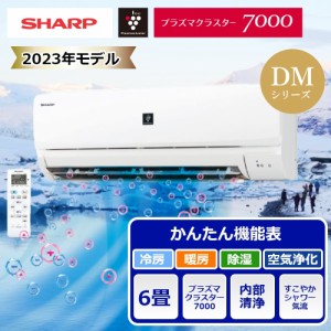 配送のみ シャープ ルームエアコン 6畳用 DMシリーズ 2023年モデル AY-R22DM 家電 空調 季節 エアコン 一人暮らし 節電 省エネ 抗菌 安眠