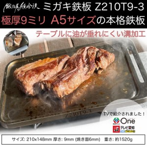 キャンプ 鉄板 ソロキャンプ アウトドア 焚き火 セイコー 鍛冶屋の頓珍漢 ミガキ鉄板 Z210T9-3 9mm厚