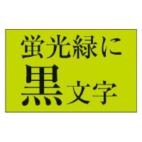 カシオ計算機 ネームランド　テープカートリッジ　蛍光色テープ　緑に黒文字１２ｍｍ幅 テプラ XR-12FGN