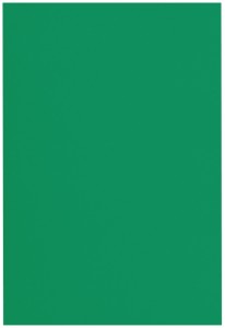 カウネット 色画用紙　八つ切　緑　１０枚 4212-2814